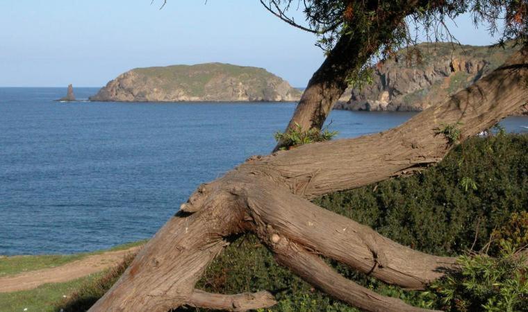 Appartamento In Casa Con Cortili Ad Arbus - Sardegna Exterior photo